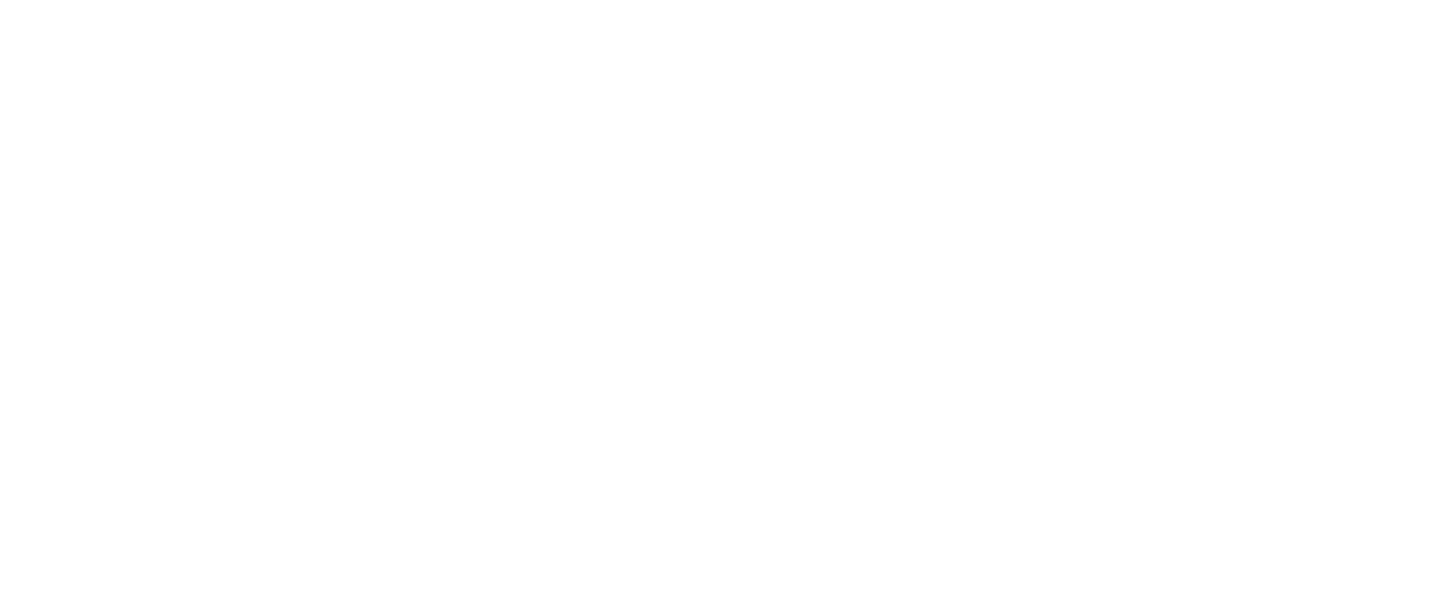 Digital Zero